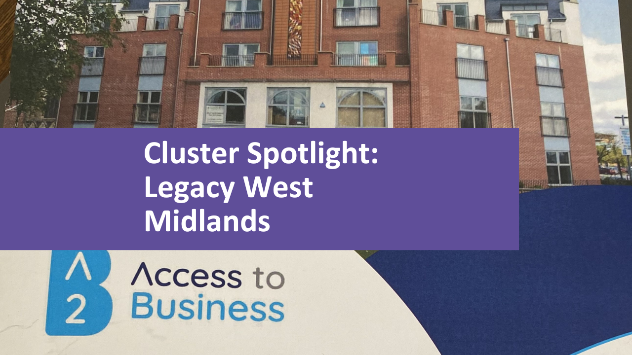Cluster spotlight: Access to Business