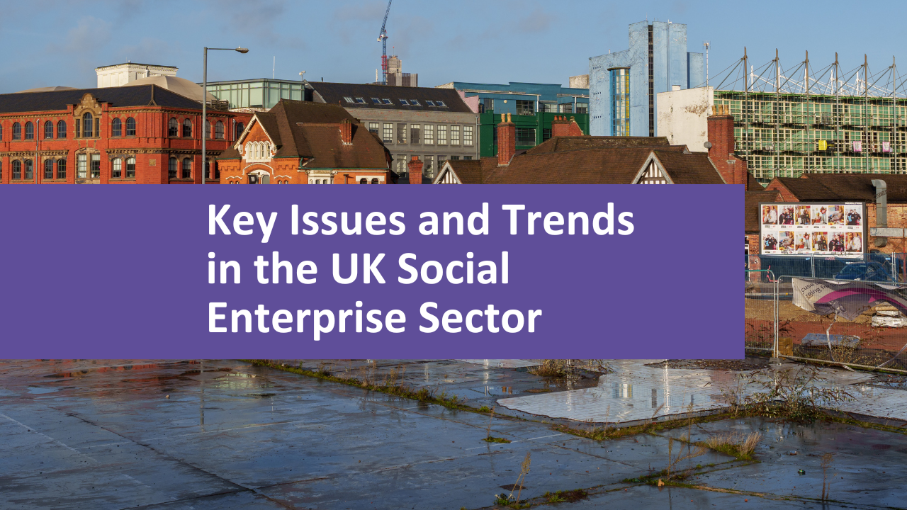 Key issues and trends in the UK Social Economy Sector