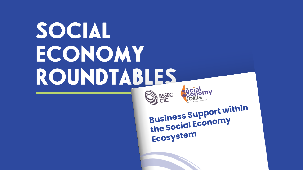Business Support within the Social Economy Ecosystem image