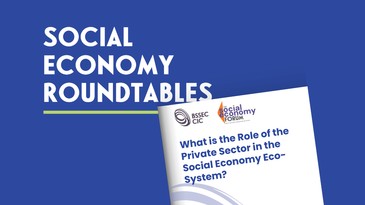 The Role of the Private Sector in the Social Economy Ecosystem image